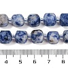 Natural Blue Spot Jasper Beads Strands G-B125-O02-01-5