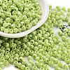 Baking Paint Glass Seed Beads X1-SEED-A032-02F-1