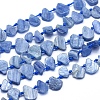 Natural Kyanite/Cyanite/Disthene Beads Strands G-K223-08-1