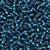 TOHO 8/0 Round Beads SEED-XTR08-0023BD-2