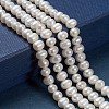Natural Cultured Freshwater Pearl Beads PEAR-D039-1-4