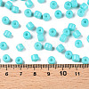 Opaque Baking Paint Glass Seed Beads SEED-T008-02O-5