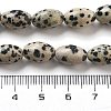 Natural Dalmatian Jasper Beads Strands G-B106-B20-01-5