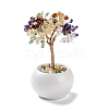 Natural Mixed Gemstone Chips Tree Decorations DJEW-M012-01E-1