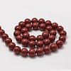 Shell Pearl Beads Strands BSHE-L026-01-14mm-3