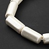 Electroplated Shell Pearl Beads Strands BSHE-G027-08A-4