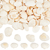 300Pcs Natural Shell Beads SSHEL-SP0001-03-1