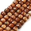 Natural Picture Jasper Beads Strands G-H028-A06-01-1