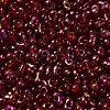 Spray Painted Glass Seed Beads SEED-F005-11A-03-3