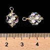 Glass Charms KK-M266-08G-4