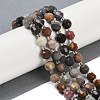 Natural Ocean Jasper Beads Strands G-O201B-129F-1