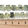 Natural Prehnite Beads Strands G-G053-B12-01B-5