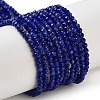 Natural Sodalite Beads Strands G-B088-C04-02-1