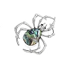 Creative Abalone Shell Spider Brooch PW-WGB0402-01-3