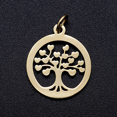 304 Stainless Steel Pendants STAS-T046-JA350-2-1