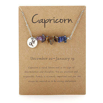 667 Stainless Steel with Natural Amethyst & Natural Tiger Eye & Natural Lapis Lazuli Chip Pendant Necklaces FS-WGFED6E-05-1