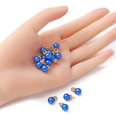 ABS Plastic Charms KY-YW0001-24A-1