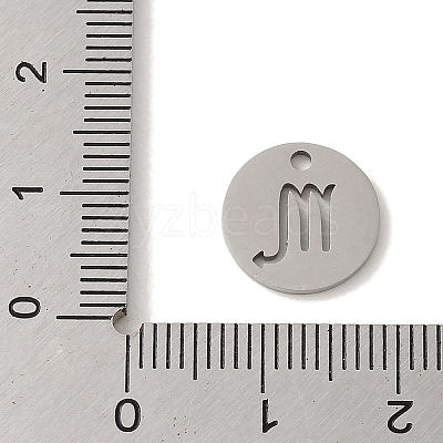 Non-Tarnish 201 Stainless Steel Charms STAS-E217-10P-04-1