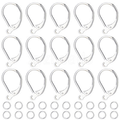 20Pcs 2 Style Brass Leverback Earring Findings with Loop DIY-BBC0001-02S-1