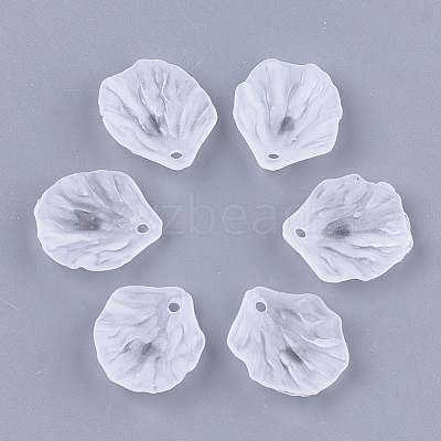 Transparent Acrylic Pendants FACR-T001-07-1