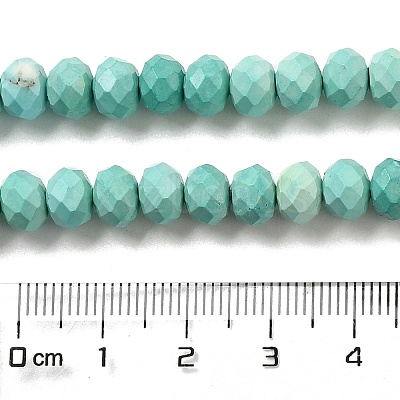 Dyed Natural Howlite Beads Strands G-G023-A01-01C-1