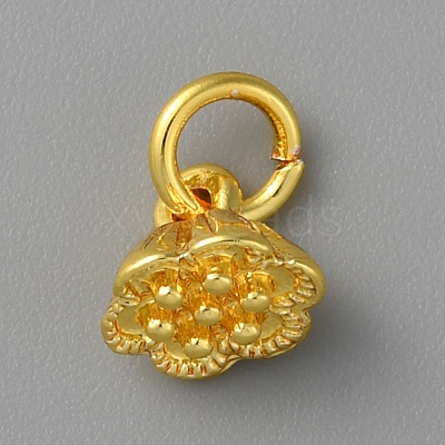 Alloy Pendants FIND-WH0159-63G-15-1