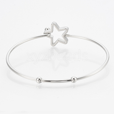 Tarnish Resistant 304 Stainless Steel Bangles LS-STAS-N084-01-1