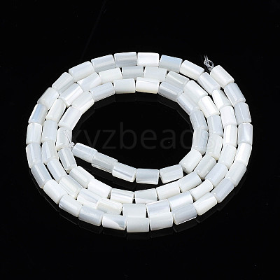 Natural Freshwater Shell Beads Strands X-SHEL-N003-26-A01-1