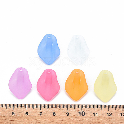 Transparent Frosted Acrylic Pendants MACR-S371-03A-1