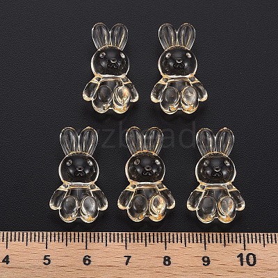 Transparent Acrylic Beads LS-MACR-S373-81-B04-1