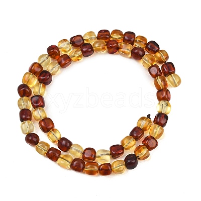 Two Tone Natural Amber Beads Strands G-K426-A03-05-1