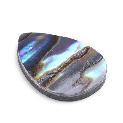 Natural Abalone Shell/Paua Shell Cabochons SSHEL-L017-002-1