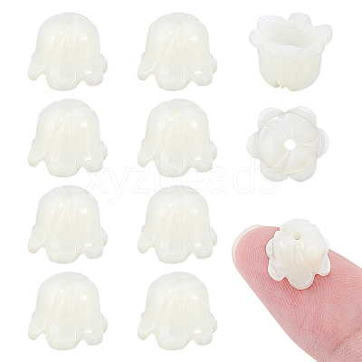 10Pcs Natural Sea Shell Carved Beads SHEL-PH0001-64-1