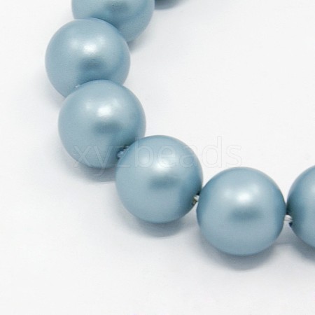 Round Shell Pearl Frosted Beads Strands BSHE-I002-6mm-323-1