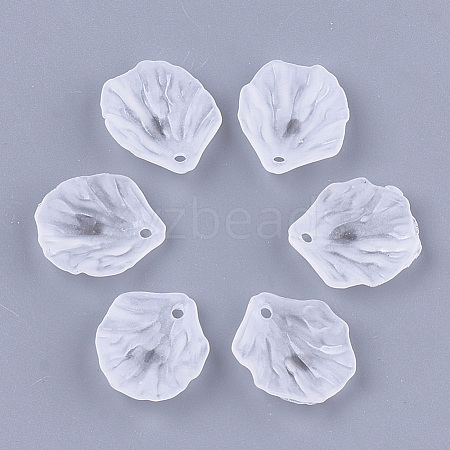 Transparent Acrylic Pendants FACR-T001-07-1