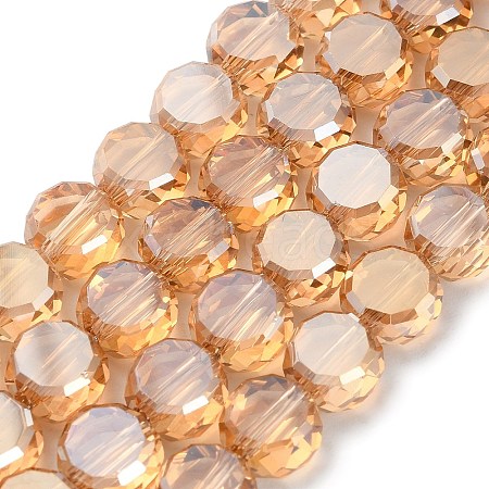 Electroplate Glass Beads Strands EGLA-C010-01A-PL02-1