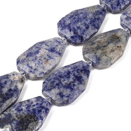 Natural Blue Spot Jasper Beads Strands G-P548-B10-01-1