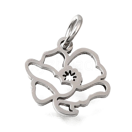 304 Stainless Steel Charms SA-CBA4CE0-01P-I-1