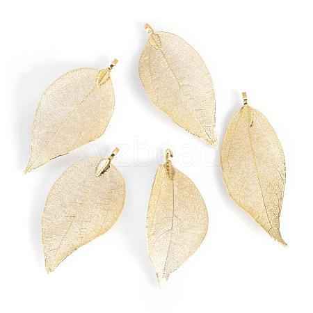 Electroplated Natural Leaf Big Pendants IFIN-Q119-01E-1