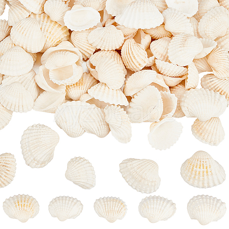 300Pcs Natural Shell Beads SSHEL-SP0001-03-1