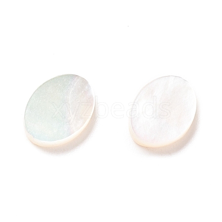 White Shell Cabochons SSHEL-C008-02-1