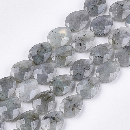 Natural Labradorite Beads Strands G-S354-07-1