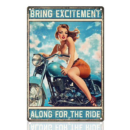 Vintage Metal Tin Sign AJEW-WH0436-397-1