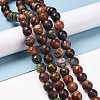 Natural Polychrome Jasper/Picasso Stone/Picasso Jasper Beads Strands G-E571-25C-2