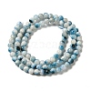 Natural Blue Ice Glacierite Stone Beads Strands G-G078-A01-05-2