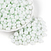 Opaque Baking Paint Glass Seed Beads SEED-N008-03A-08-1