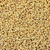 MIYUKI Round Rocailles Beads SEED-G007-RR1052-4