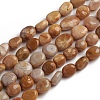 Natural Fossil Coral Beads Strands G-D0002-D78-1