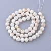 Natural Freshwater Shell Bead Strands SHEL-S254-05-2