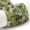 Natural Serpentine Beads Strands G-B107-A05-05-2